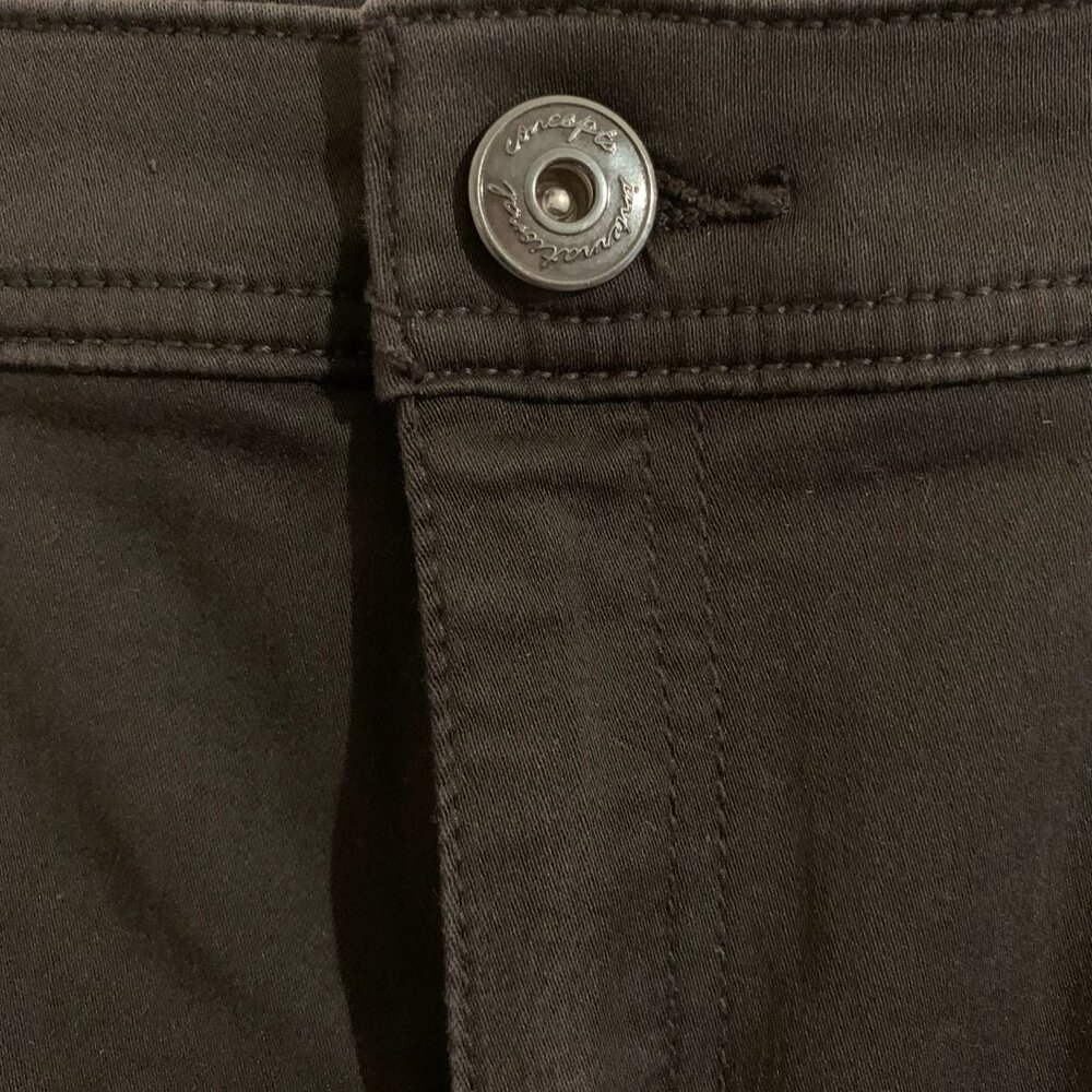 INC International Concepts Skinny Leg Regular Fit jeans size 12